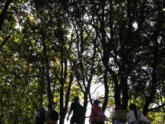 -火炉山森林公园