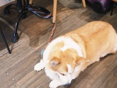 -肥朵食堂(带梦胡同店)