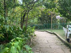 -正宗火盆自助烧烤·烤全羊·柴火鸡(龙泉山店)