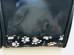 -瑞派宠物医院·24h·骨外科·皮肤科·全科宠物医疗转诊中心(沈阳浑南院)
