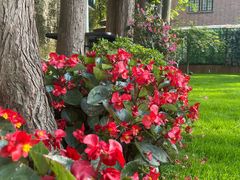 -一尺花园(安和花园店)