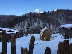 -雪谷