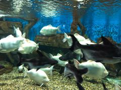 -石林冰雪海洋世界