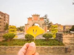 -四川大学(望江校区)