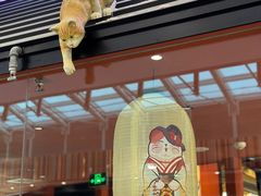 -将太无二·北美传奇寿司(荟聚购物中心西红门店)