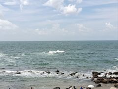 -广东惠东海龟国家级自然保护区