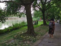-成都市活水公园