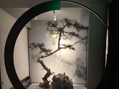 -山塘渡·苏式园林餐厅