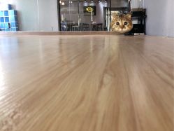 -STAR舞蹈工作室