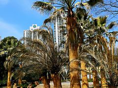 -苏州河梦清园环保主题公园