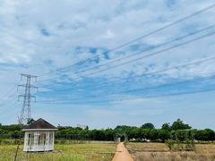 -紫颐香薰山谷景区