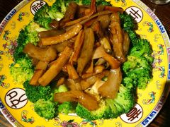 西兰花烧蹄筋-七菜馆·东北菜·蒸饺(文体路店)