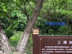 -武汉姚家山旅游景区