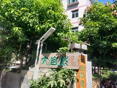 -大自然素食(望桐路店)
