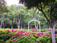 -上海市保健医疗中心(华东疗养院)