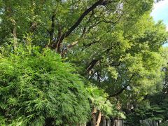 -上海宋庆龄故居纪念馆