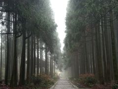 -玉苍山国家森林公园