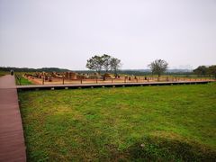 -盘龙城国家考古遗址公园