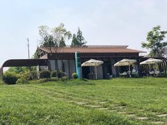 -桤木河湿地公园