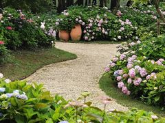 -上海共青森林公园