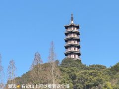 -黄贤森林公园