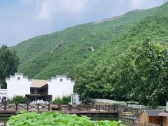 -荷塘味道(水长城店)