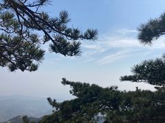 -天柱山风景区