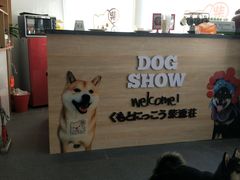 -柴源莊·柴小宠柴犬咖啡