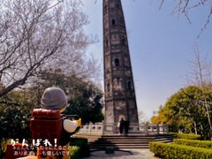 -上海佘山国家森林公园天马山园