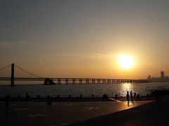 景点-星海湾跨海大桥