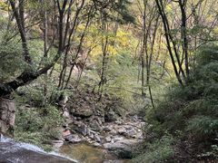 -王顺山国家森林公园