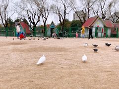 -上海大学(宝山校区)