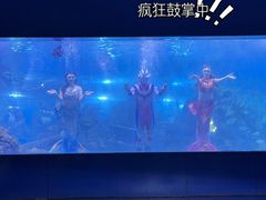 -重庆欢乐海底世界