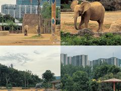 -杭州野生动物世界