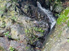 -梧桐山风景名胜区