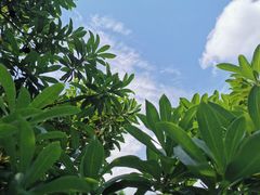 -黄贤森林公园