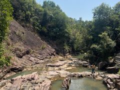 -广州白江湖森林公园