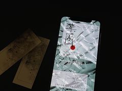 -MEDISN·药厂