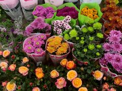 -双季花艺园艺市场(浦东店)