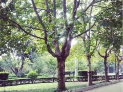 iphone_upload_pic-蠡湖中央公园