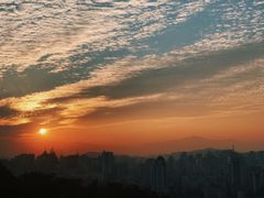 -金鸡山公园
