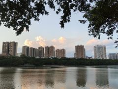 -南宁南湖公园