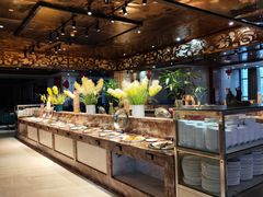 -地中海传奇水汇