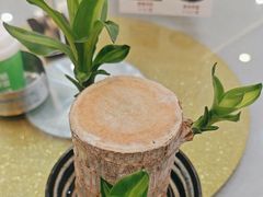 -祈胜邨•顺德鱼生•顺德菜(容桂店)
