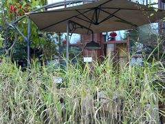 -胡桃里乐队酒馆(鎏嘉码头店)