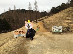 -神户市立六甲山牧场