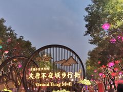-大唐不夜城