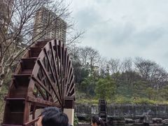 -重庆彩云湖湿地公园