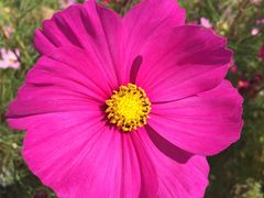 -武清南湖绿博园