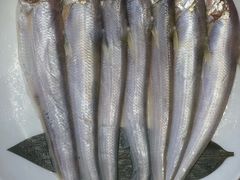 -小时候2013(瀚新店)